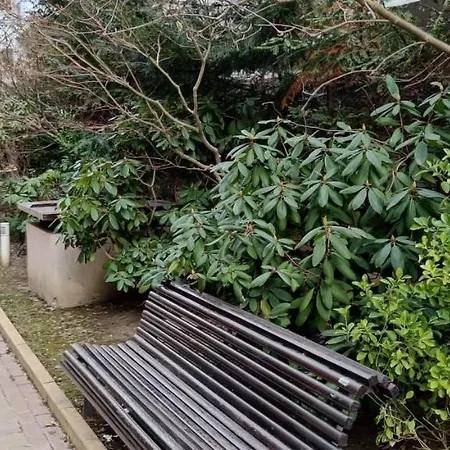 Appartement Anvers Bucarest