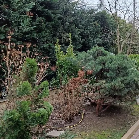 Anvers Διαμέρισμα *