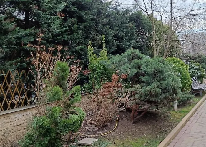 Anvers Appartement *